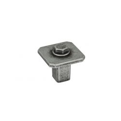 knopek Kentucky, starocín