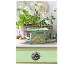 knopek Aster, průměr 30 mm, starostříbro