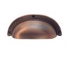 úchytka mušle Anita, broušená měď