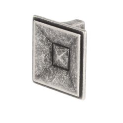 knopek Olenia větší XR26, starostříbro