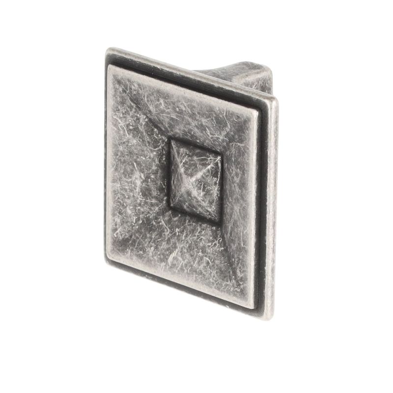 knopek Olenia větší XR26, starostříbro