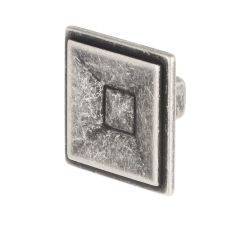 knopek Olenia menší XR26, starostříbro